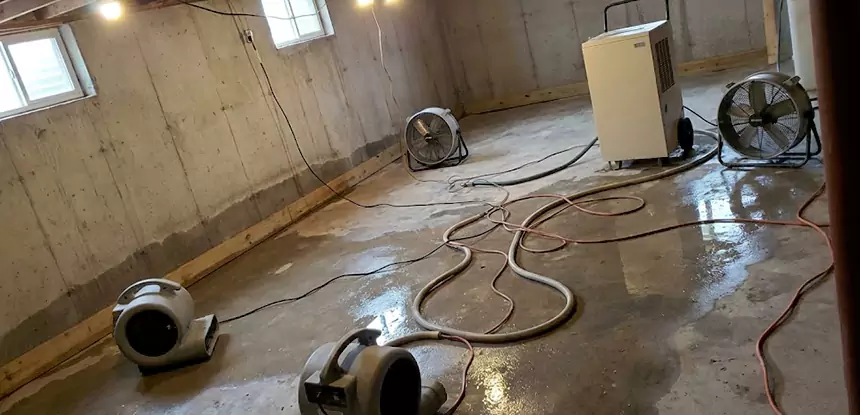 Professional Commercial Water Damage Repair Services in Peculiar, MO